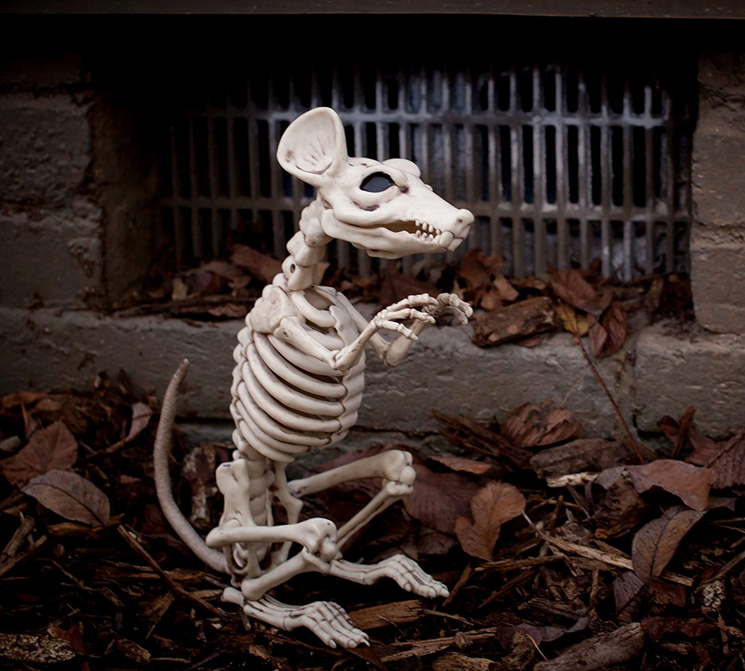 rat_skeleton2