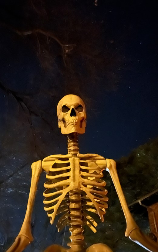 Halloween at Cedarcroft - 12 foot skeleton