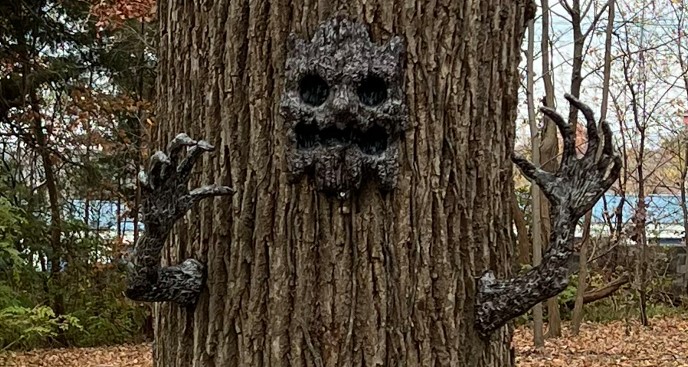 Halloween at Cedarcroft - tree