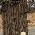 Halloween at Cedarcroft - tree